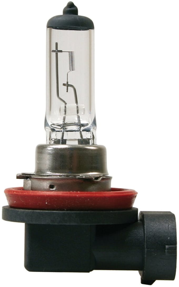 H11 halogeen lamp 12V 55W PJG19-2