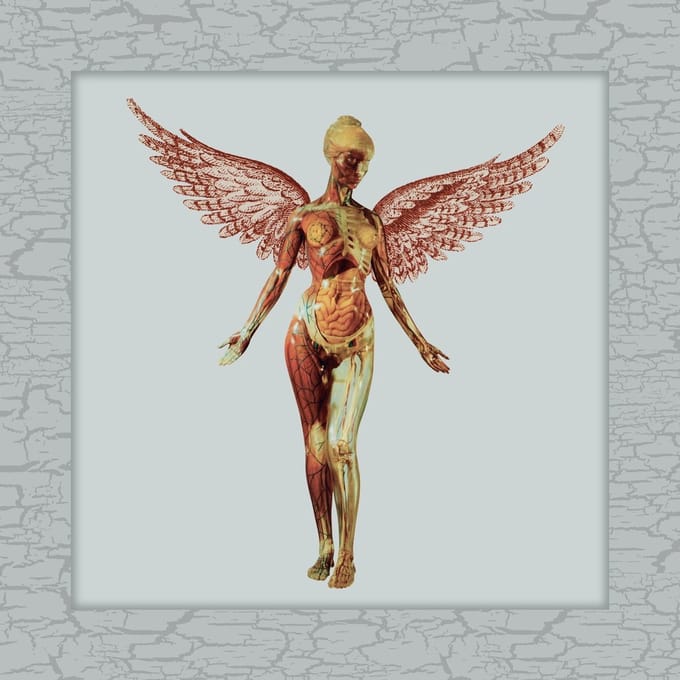 Nirvana - In Utero (5 CD) (30th Anniversary) (Limited Deluxe Edition) (Remastered)