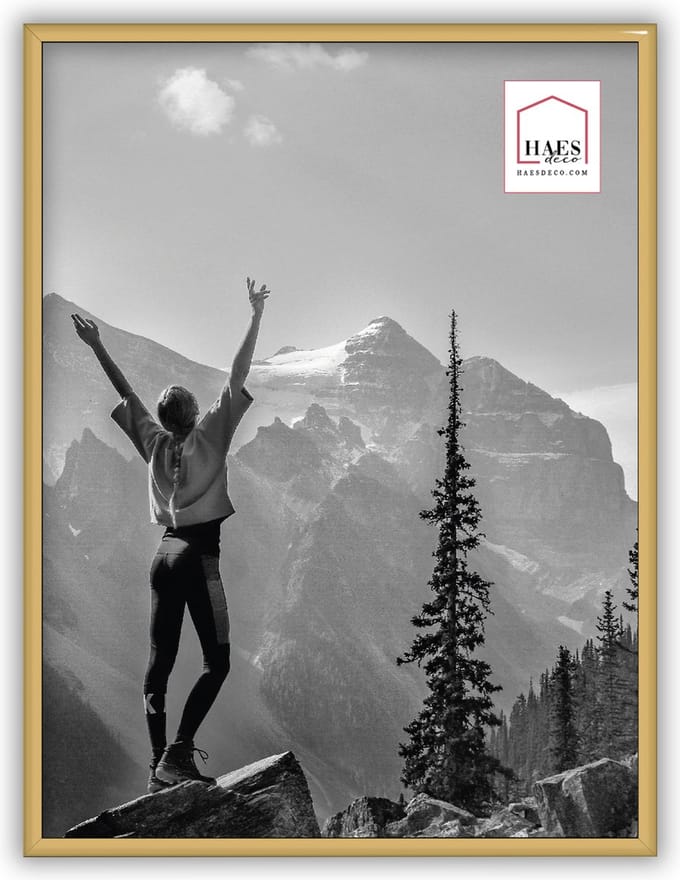 HAES DECO - Kunststof fotolijst 30x40 goud Easy Frame - EF5G