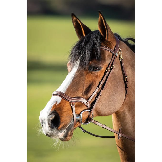 HFI Hoofdstel Techno Cob Bruin