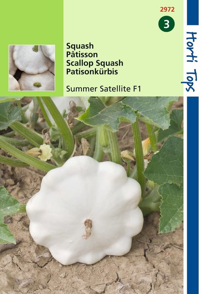 Hortitops Patisson Summer Satellite F1