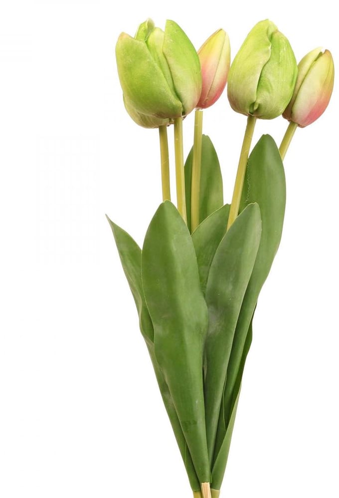 Kunstbloemen tulp groen, lentebloem 48cm bundel van 5, 5 stuks
