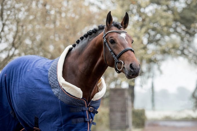 MHS Fleecedeken Deluxe 160/195 cm Navy
