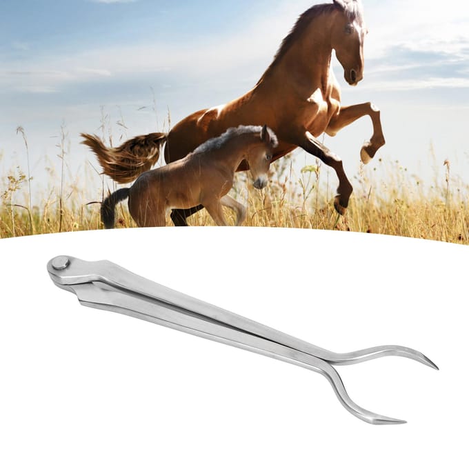 SIRIUSTIMES Hot Fitting Paardenhoef Veterinaire Instrumenten Zwaar Staal Hoefsmidstang gray