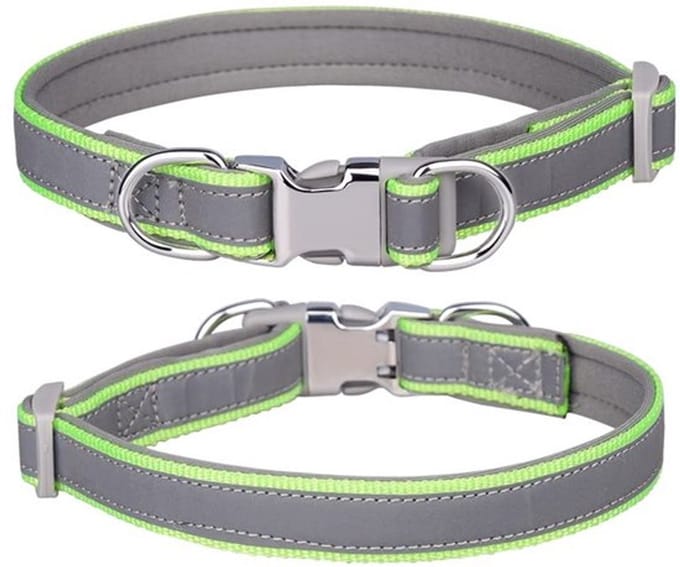 Allecto - Reflecterende nylon halsband - Verstelbare halsbanden voor