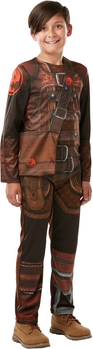 Heldhaftige Drakentrainer Hiccup Horrendous - Jongen