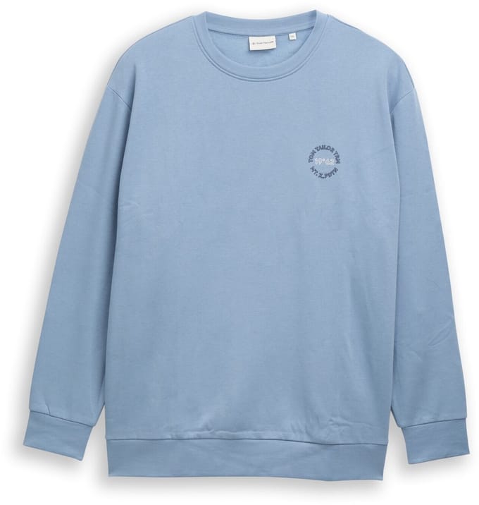 Tom Tailor - Plus Size - Sweatshirt met logo-print - Maat 3XL - faded denim blue