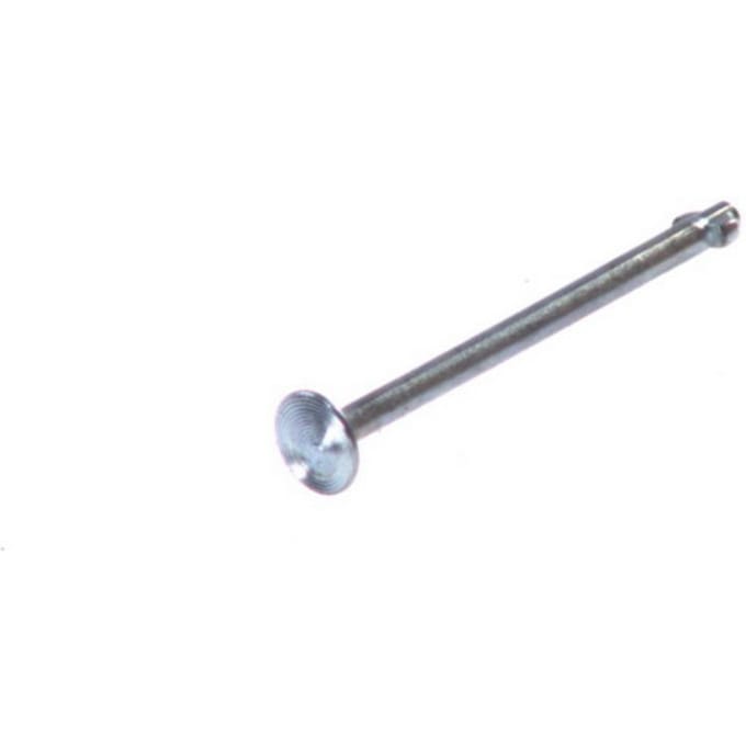 Schroef, remschoen QUICK BRAKE 5031