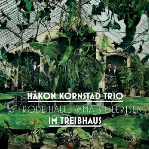 Hakon Kornstad trio - Im Treibhaus (CD)