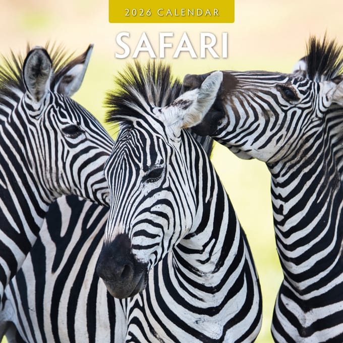 Red Robin Kalender 2026 - Safari