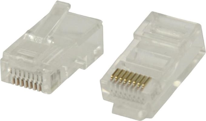 Connector RJ45 Solid UTP CAT5 Male PVC Transparant