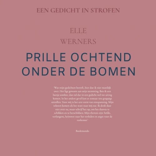 Vensterlicht - ELLE WERNERS