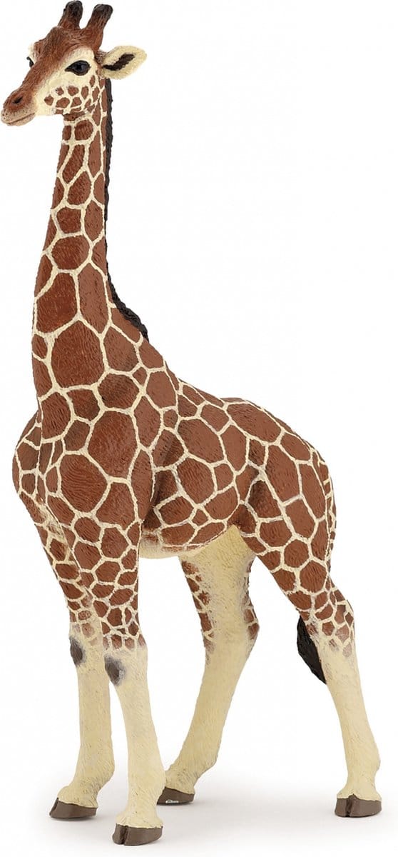 Papo Wild Life Giraf Mannetje 50149