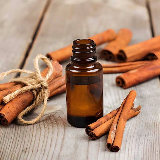 Cassia Etherische Olie - 50 ml