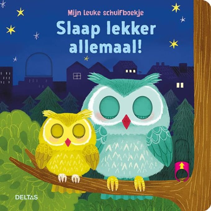 Boeken Mijn leuke schuifboekje - Slaap lekker allemaal! Multi unisex