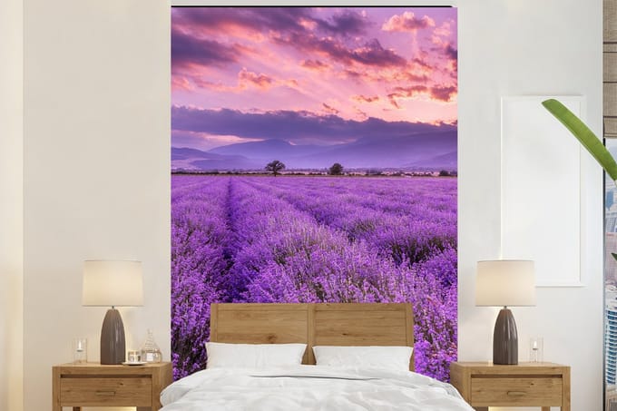 Behang - Fotobehang Lavendel - Paars - Bloemen - Veld - Breedte 200 cm x hoogte 300 cm