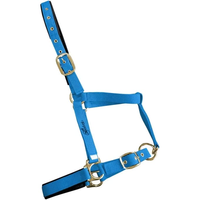 Hoofdstellen voor paarden Zaldi 4022SM