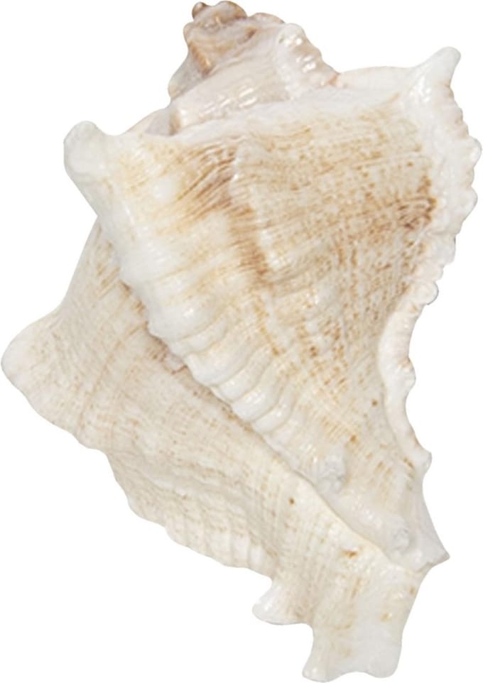 Clayre & Eef Deurknop 7 cm Wit Bruin Keramiek