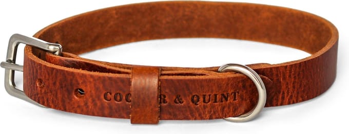 Cooper & Quint No Fuss - Halsband Hond - Leren Halsband Hond - Bruin - Zilver - Medium