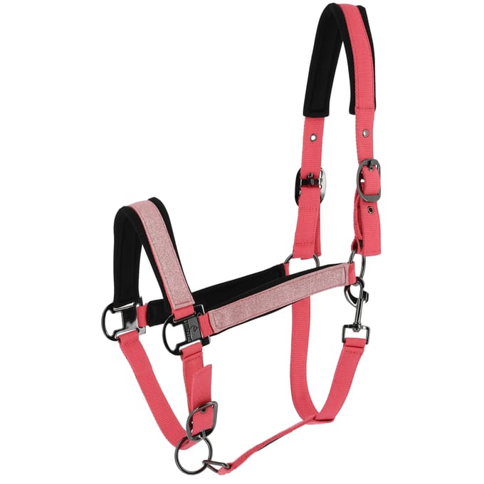 Halster voor paarden Equithème Glowy
