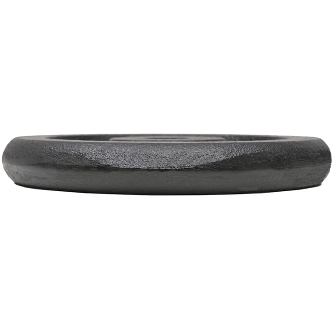 vidaXL - Halterschijven - 4 - st - 4x5 - kg - gietijzer
