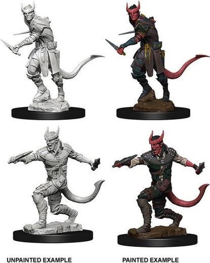 D&D Miniatures Tiefling Male Rogue - EN