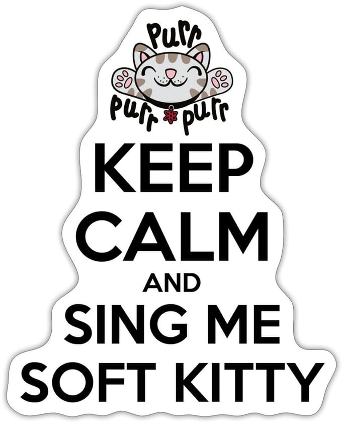 The Big Bang Theory Sing Soft Kitty Sticker Maat S (max. 10 x 10cm)