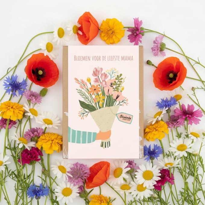 Blossombs Bloembommetjes Giftbox Mini - 4 Zaadbommetjes - Boeket - Bos Bloemen Cadeau