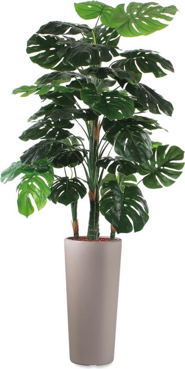 HTT - Kunstplant Monstera in Clou rond taupe H195 cm