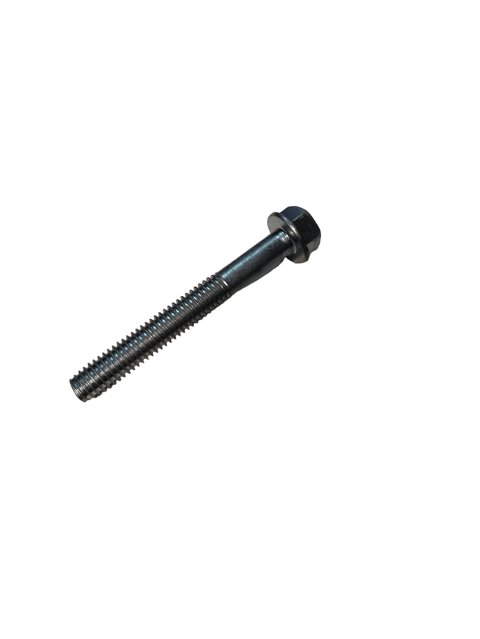 Screw