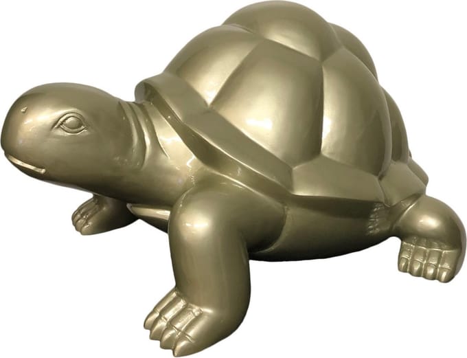 schildpad decoratief hoogglans kleur champagne