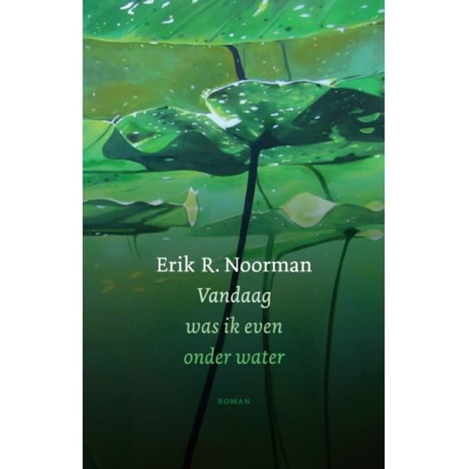 Vandaag Was Ik Even Onder Water - Erik R. Noorman