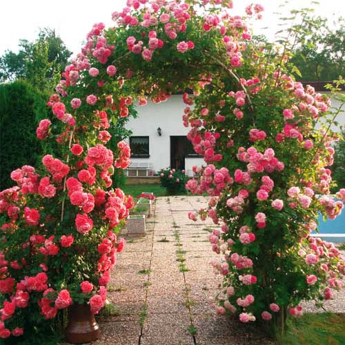 Pergola - Portail de Jardin, Arche