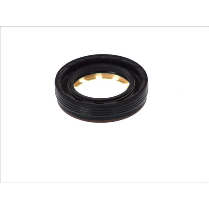 Oliekeerring, differentieel SASIC 1213263