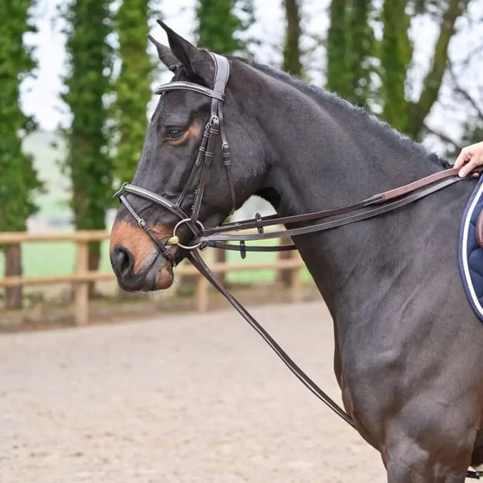 Duitse plat leren teugel Jump'In