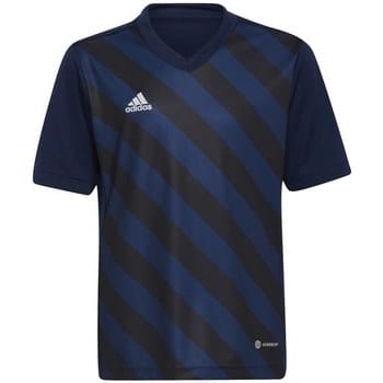 T-shirt Korte Mouw adidas Entrada 22 Graphic Jersey