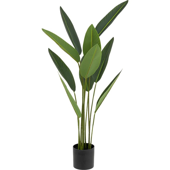Eazy Living Kunstplant Strelitzia H97 cm