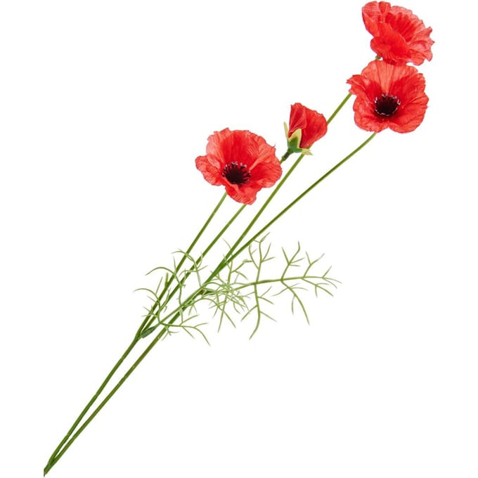 Klaproos pluk met 4 bloemen