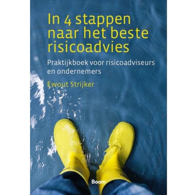 In 4 Stappen Naar Het Beste Risicoadvies - Ewout Strijker