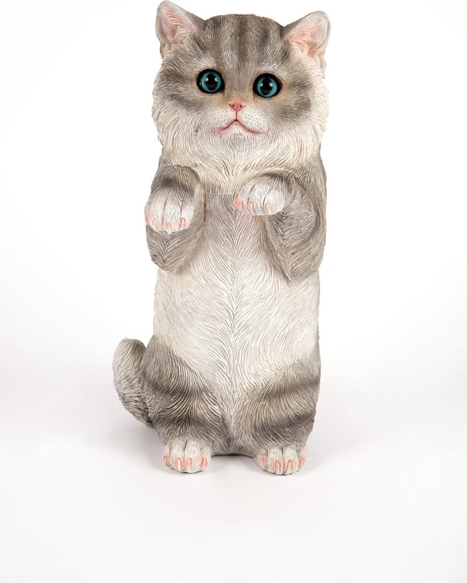 staande grijze kitten