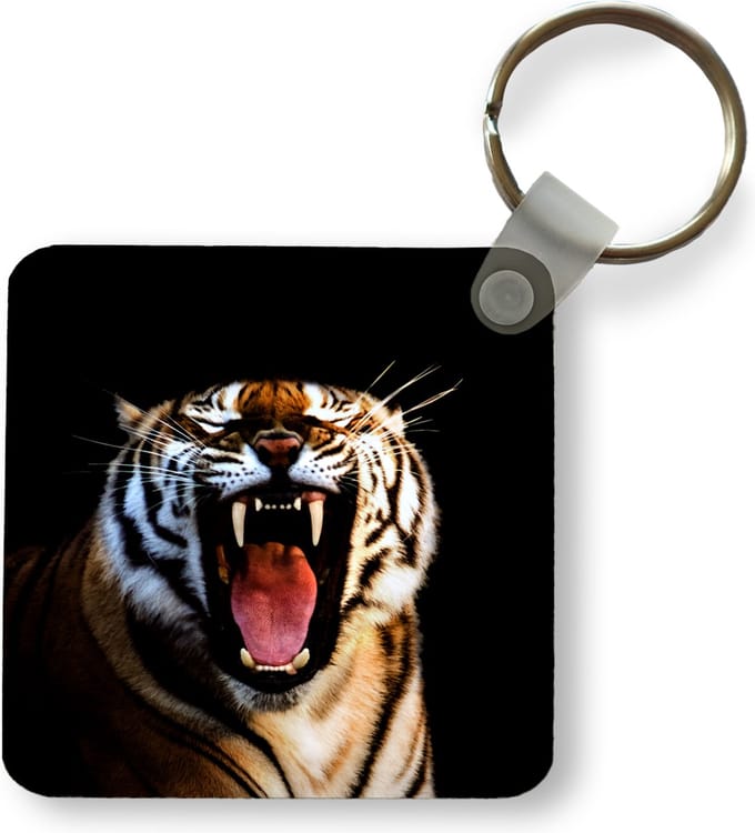 Sleutelhanger - Uitdeelcadeautjes - Tijger - Tanden - Zwart - Plastic