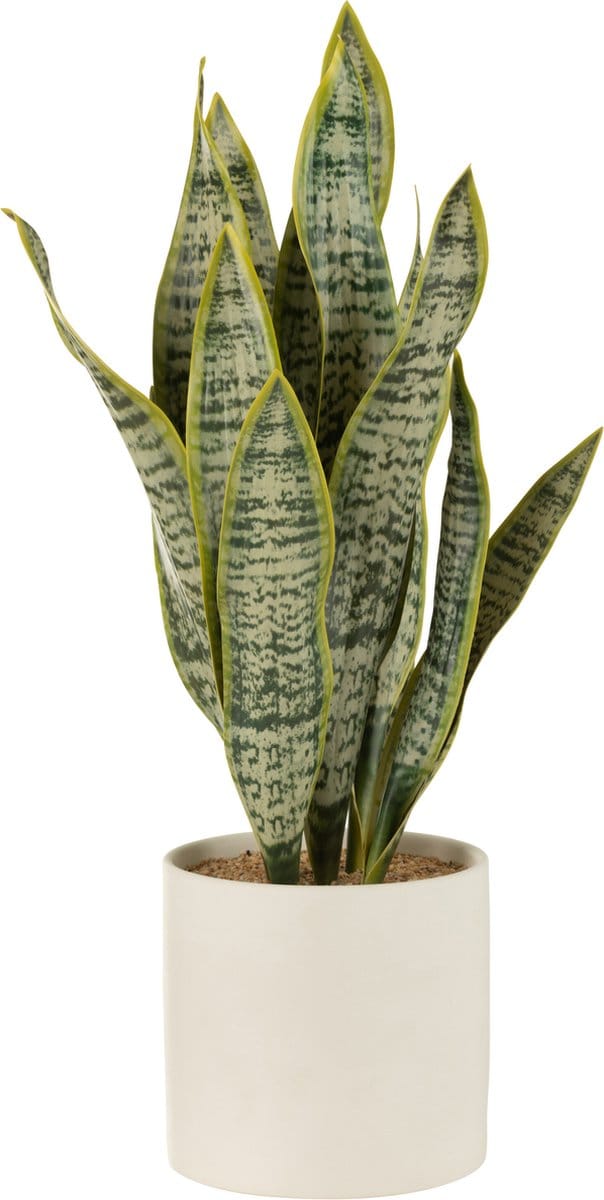 J-Line plant Sansevieria In Pot - kunststof - groen - extra large