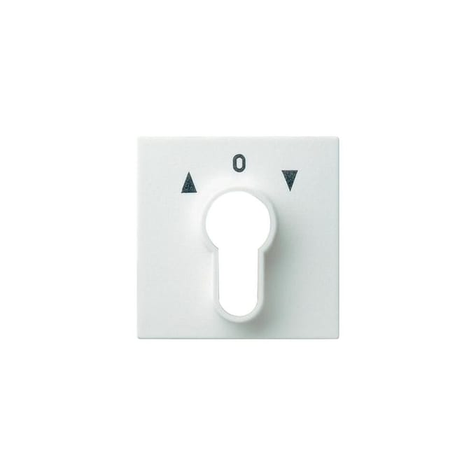 Gira Systeem 55 Besturingselement/Centrale plaat Schakelmateriaal - 066403 - E2FVX