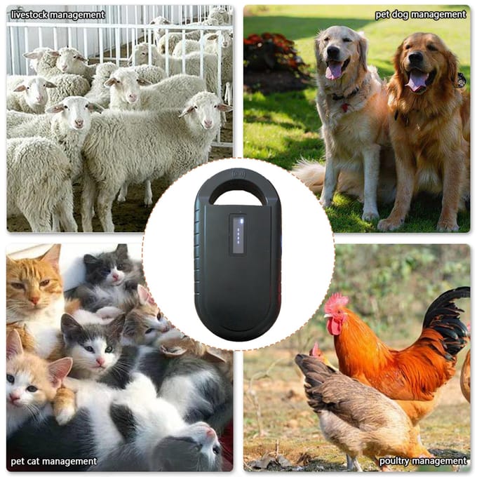 Scanner de puces pour animaux de compagnie, lecteur portatif de puces pour animaux de compagnie, lecteur de reconnaissance de puces pour animaux de compagnie noir