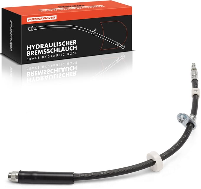 Frankberg 1x remslang voor L/R Citroën Jumpy Fiat Scudo Peugeot Expert