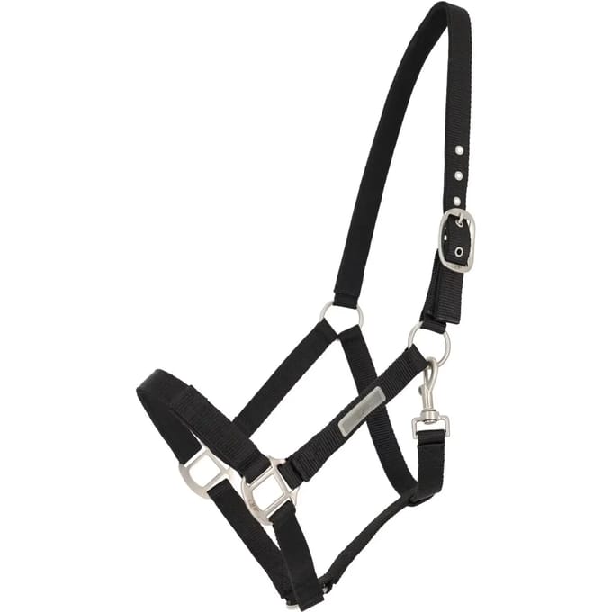 Halsband voor het aanspannen van een paard QHP