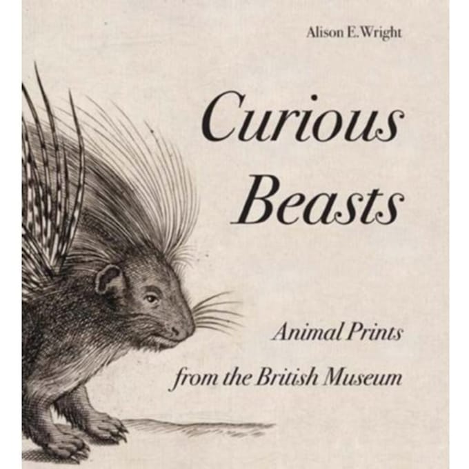 Curious Beasts - Alison E. Wright