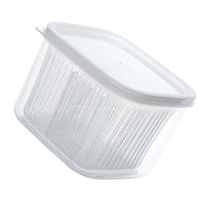Lente-ui Crisper Afdruipend Verdeeld Multifunctioneel Plastic Lente-ui Vershoudcontainer voor transparant