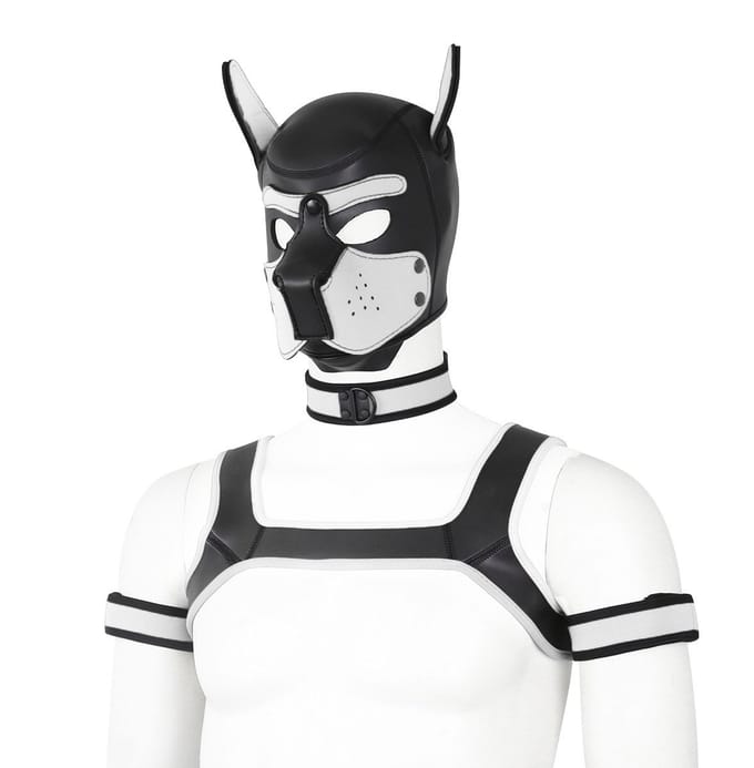 Dog/Puppy Neopreen-Set Diablo Wit