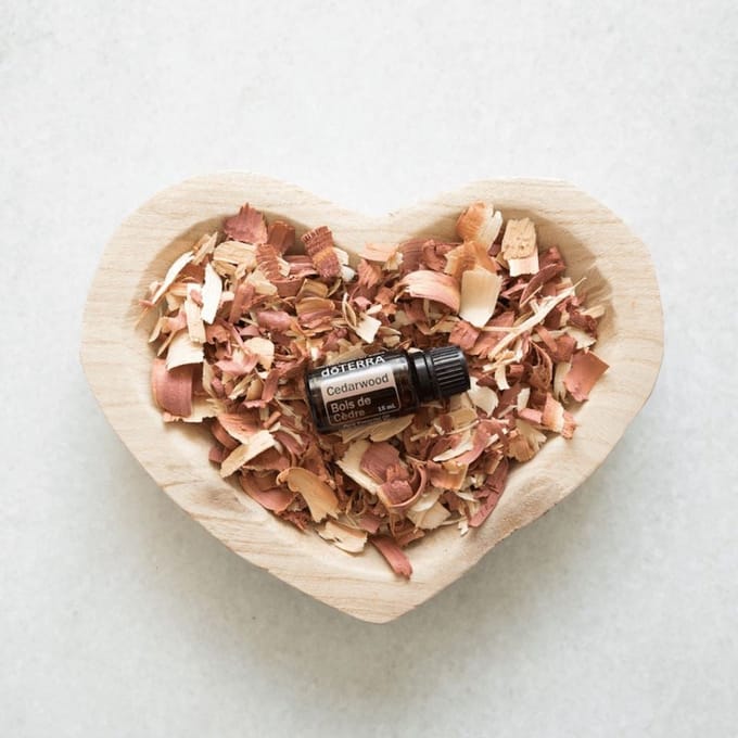 doTERRA Cedarwood (Cederhout) | 15ml | Etherische Olie